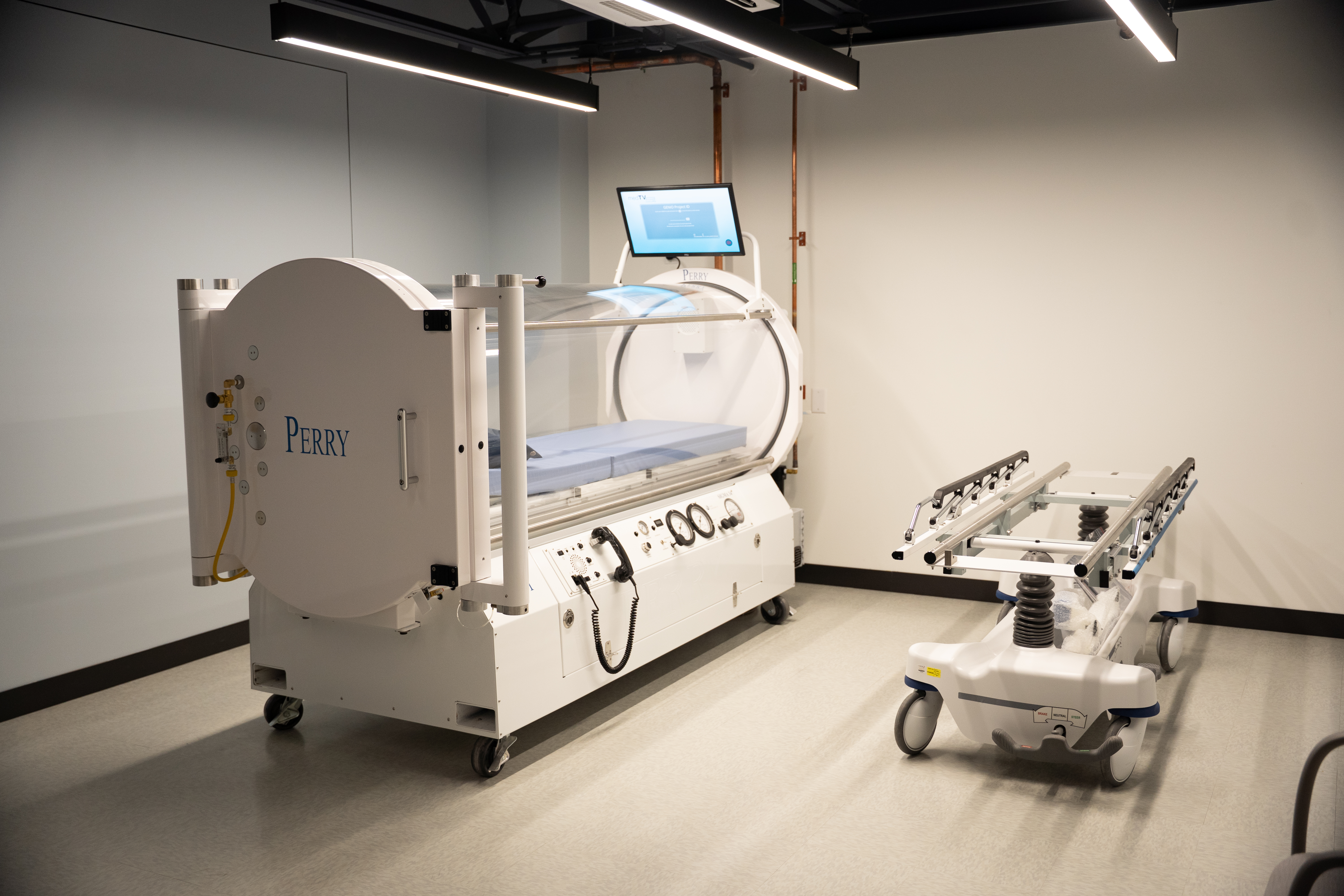 Neurological & Vestibular Rehabilitation