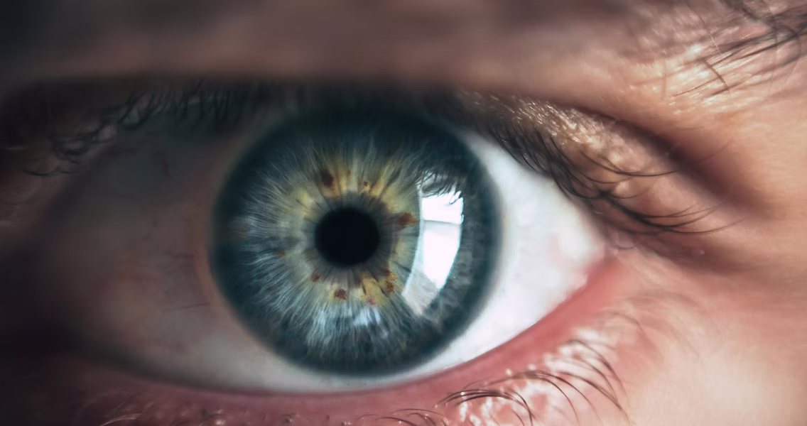 Vision Rehabilitation